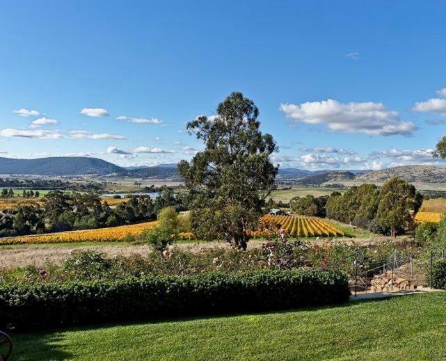 Loft Over The Vines Guest house Richmond